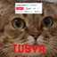Tusya, the Tik-Tok Cat logo